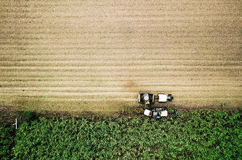 Tractor in field 