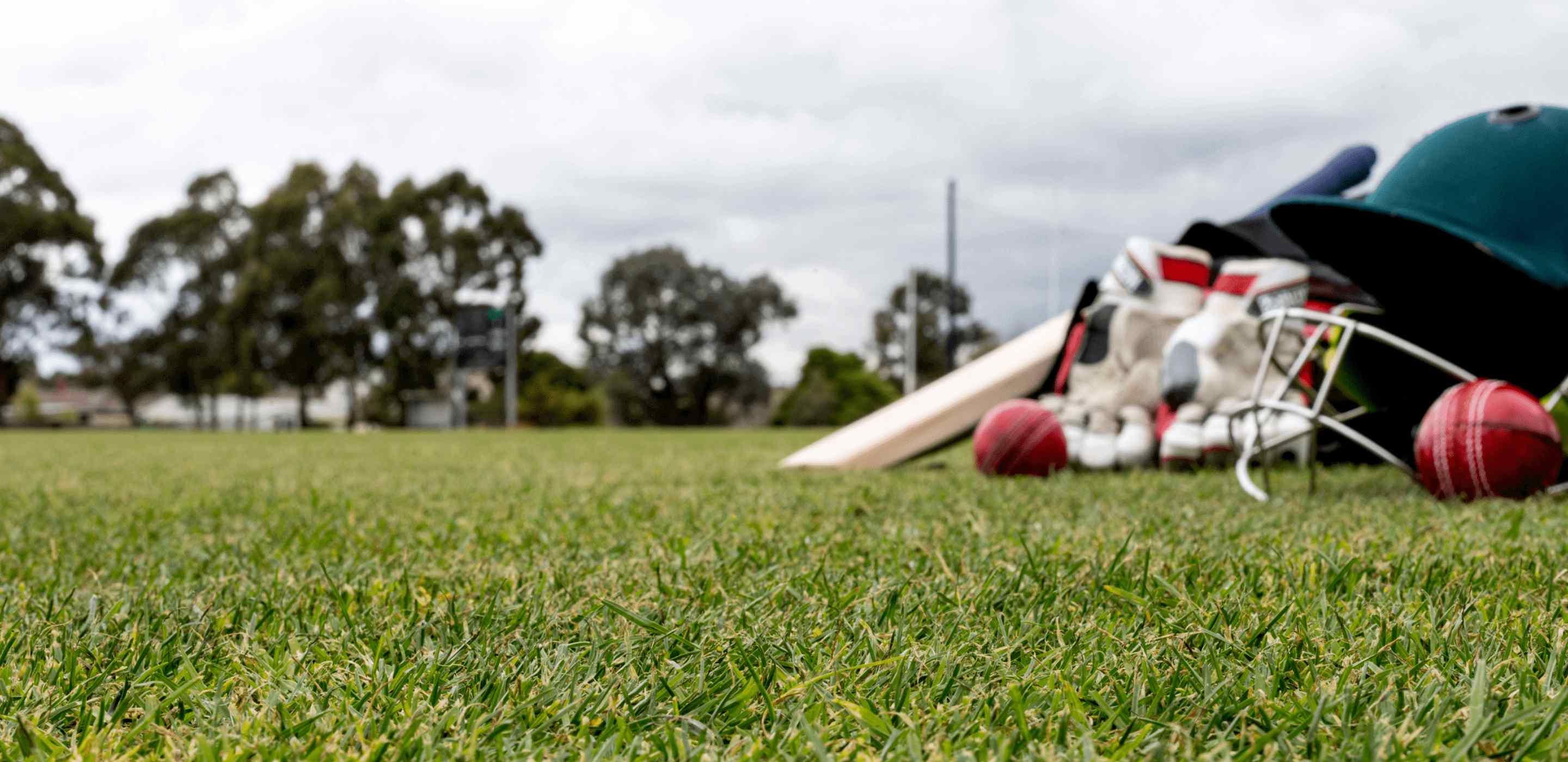 Cricket sports wear on a field grass